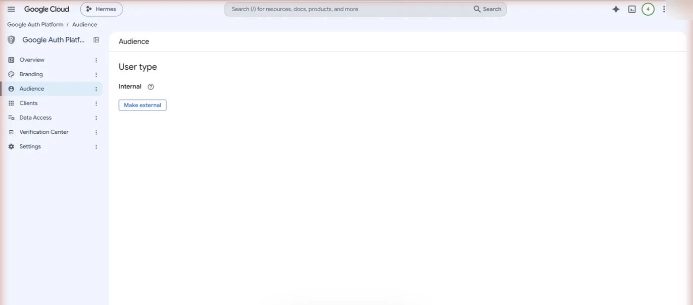 Google Auth Platform Audience page with user type set to Internal